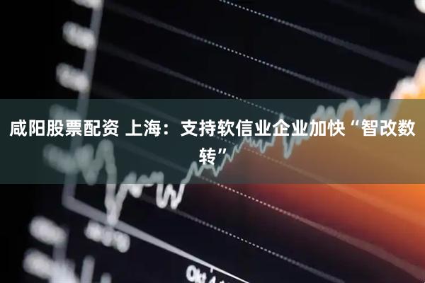 咸阳股票配资 上海：支持软信业企业加快“智改数转”