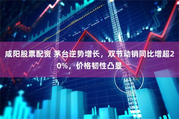 咸阳股票配资 茅台逆势增长，双节动销同比增超20%，价格韧性凸显