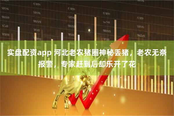 实盘配资app 河北老农猪圈神秘丢猪，老农无奈报警，专家赶到后却乐开了花
