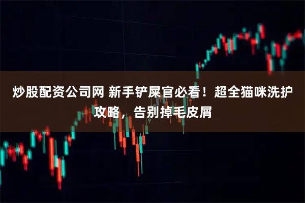 炒股配资公司网 新手铲屎官必看！超全猫咪洗护攻略，告别掉毛皮屑