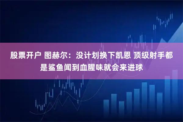 股票开户 图赫尔：没计划换下凯恩 顶级射手都是鲨鱼闻到血腥味就会来进球